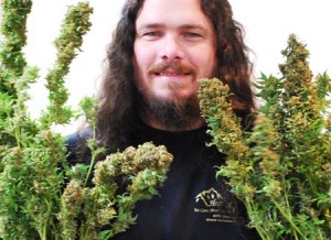 Yes We Cannabis: In Colorado, Pot Gets Legit